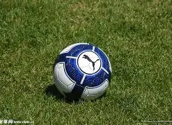 篮球盛宴,火箭与独行,侠深度剖析,RAYBET雷竞技,RAYBET雷竞技官网,RAYBET雷竞技入口,RAYBET雷竞技首页