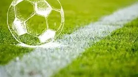 RAYBET雷竞技官网 资讯 132214 pps