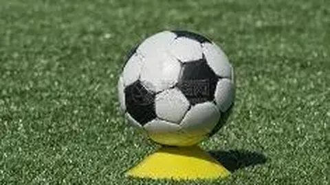 RAYBET雷竞技官网 资讯 132302 699